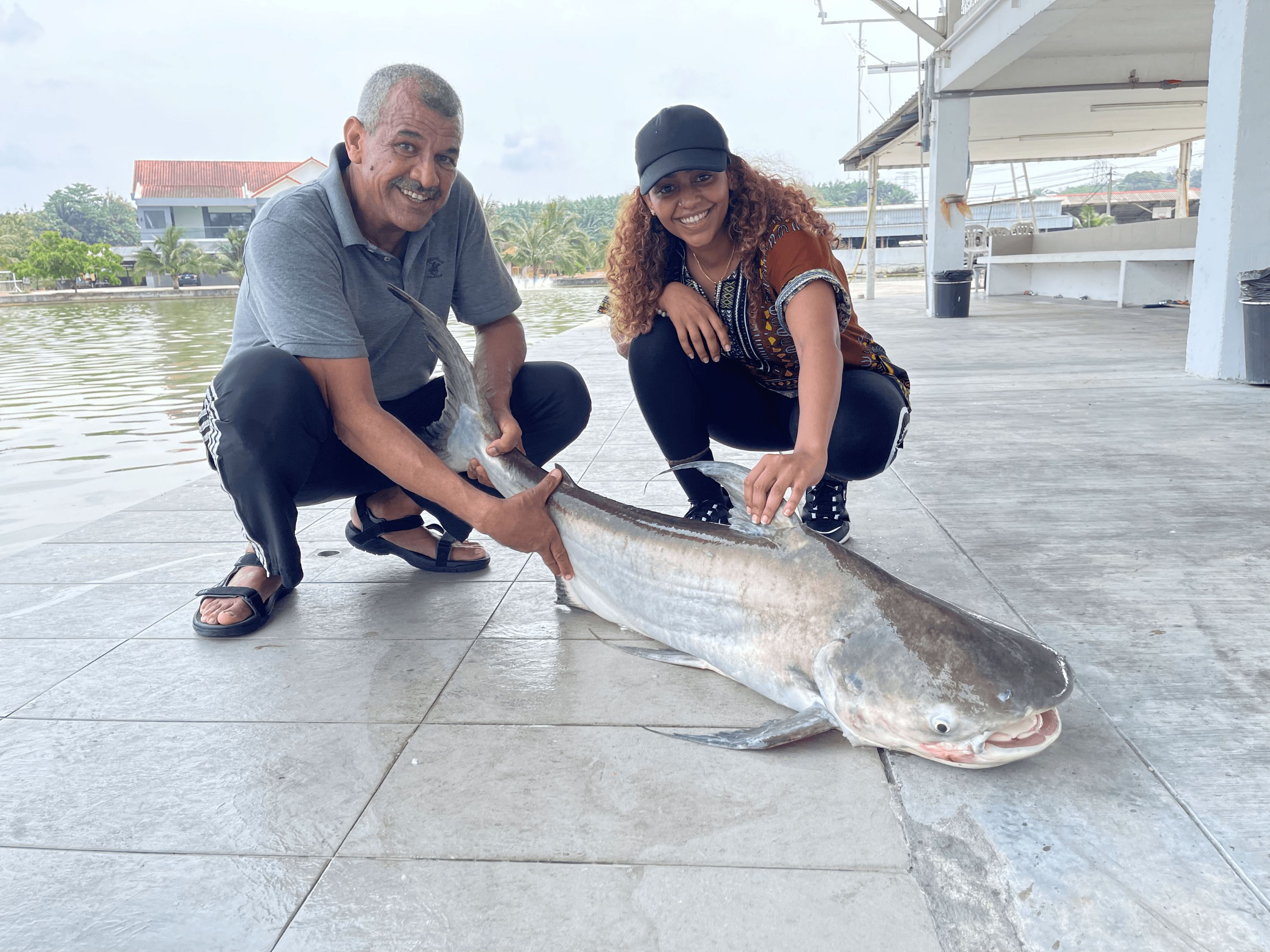 Paroon shark, also known as the Chao Phraya giant catfish, our second species of the day.