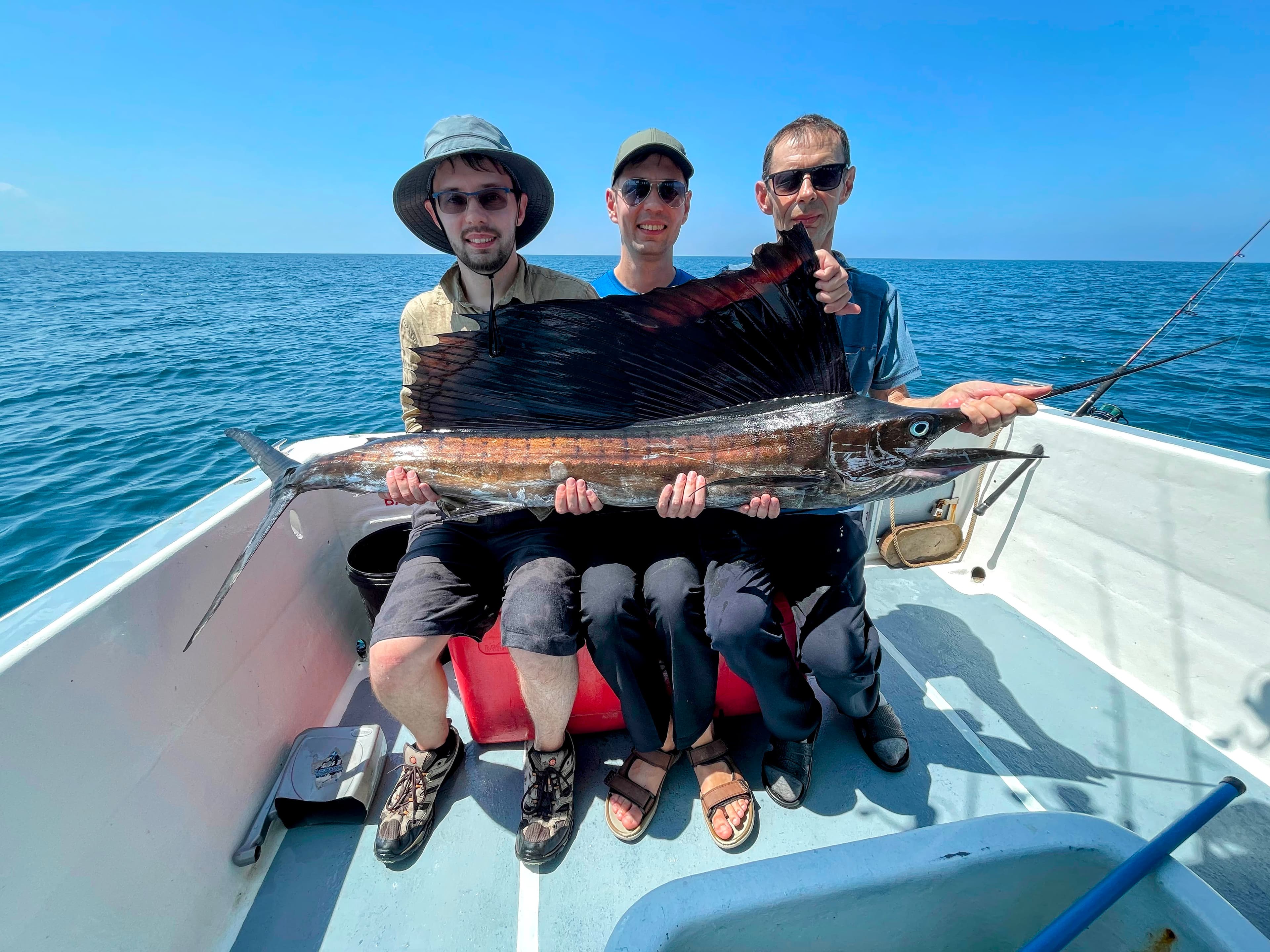 As one of the world's most sought-after game fish species, the sailfish is integral to Kuala Rompin's marine heritage and tourism
