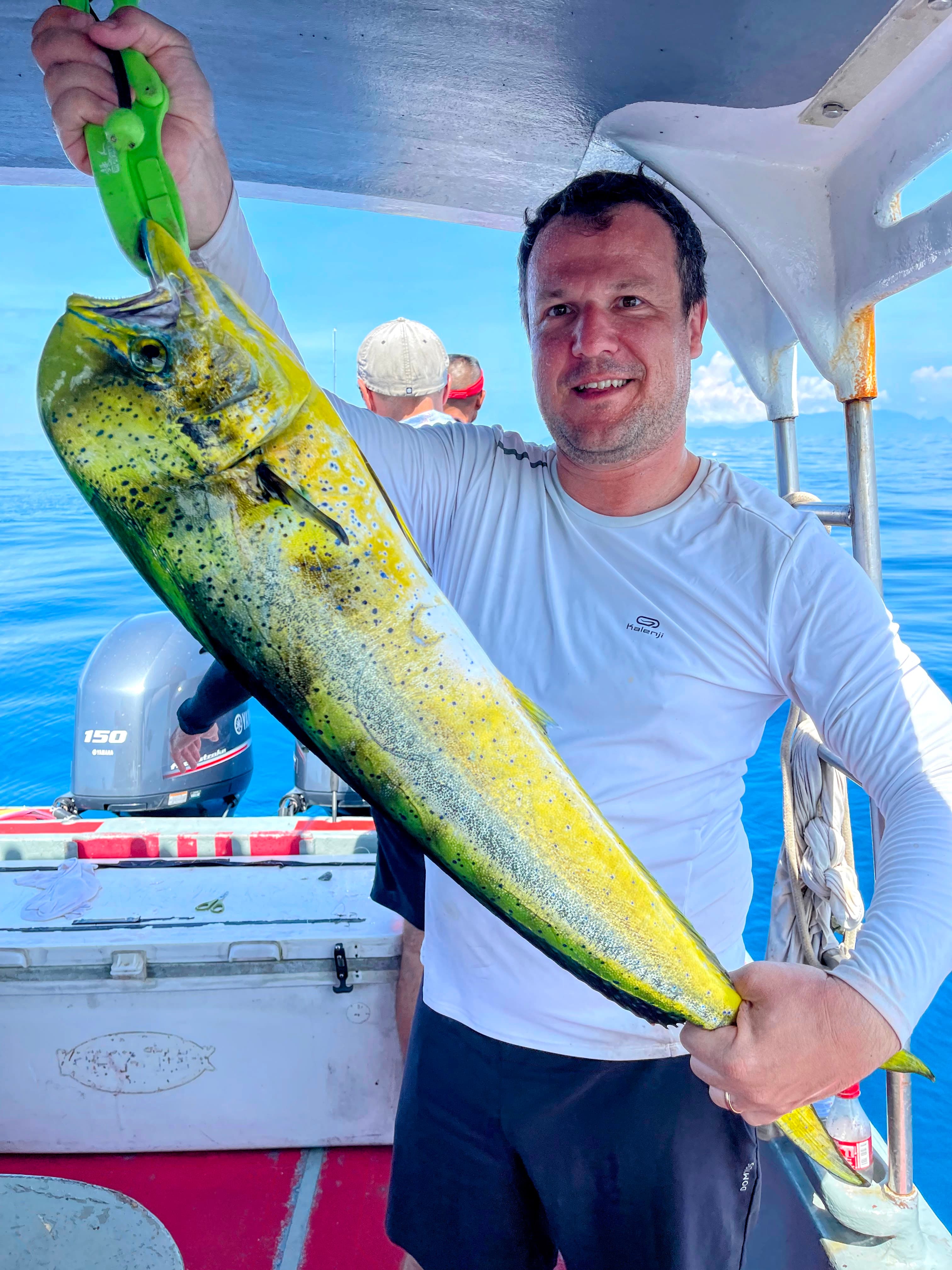 The dorado is an iconic game fish species, prized for its speed, vibrant colours, and acrobatic fight