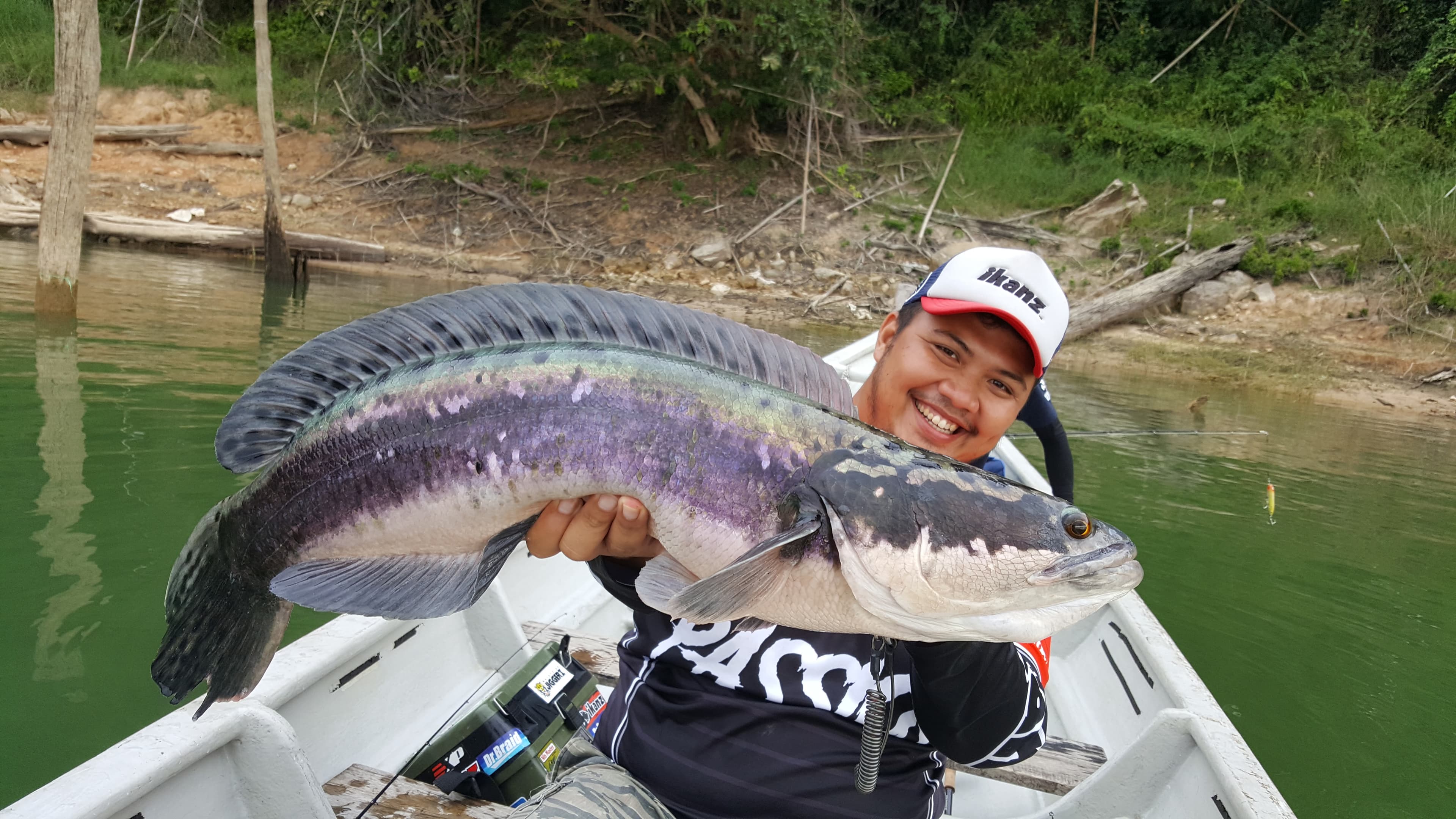 Massive 18lb Giant Snakehead or Toman on a large 9CM Pencil.