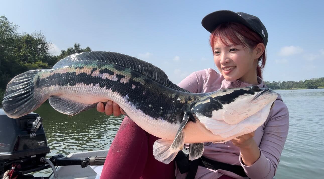Marucos with her only catch of the day, a Giant Snakehead or Toman of Tasik Raban, Perak