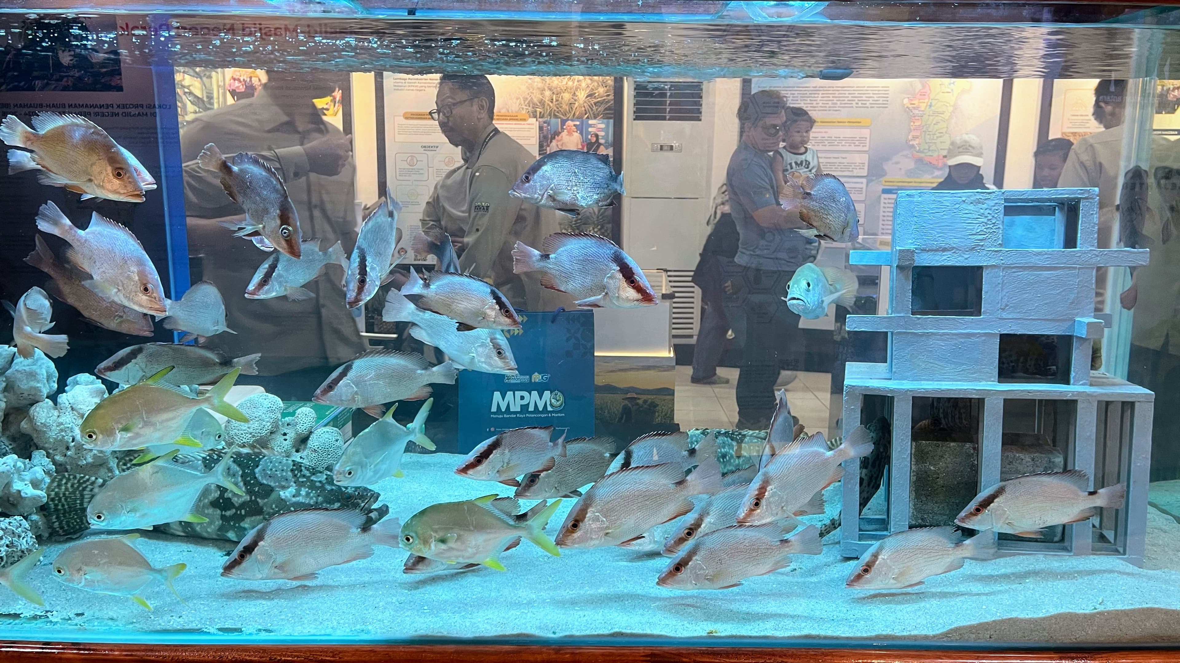An aquarium exhibit at the Perak Pavilion, highlighting the fisheries industry's integral contribution to the state's economy and its rich aquatic resources.
