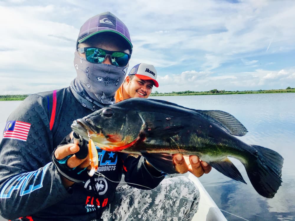 An angler holding a peacock bass with a hard lure still in its jaw, on open water at Air Kuning, Perak